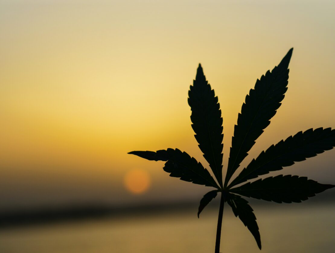 CBD Dosing