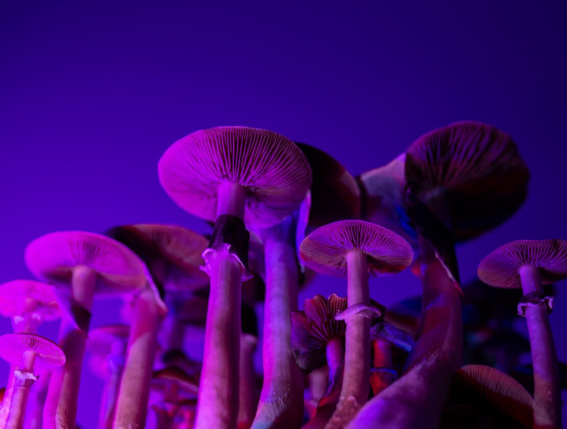 The Impressive Benefits of Microdosing