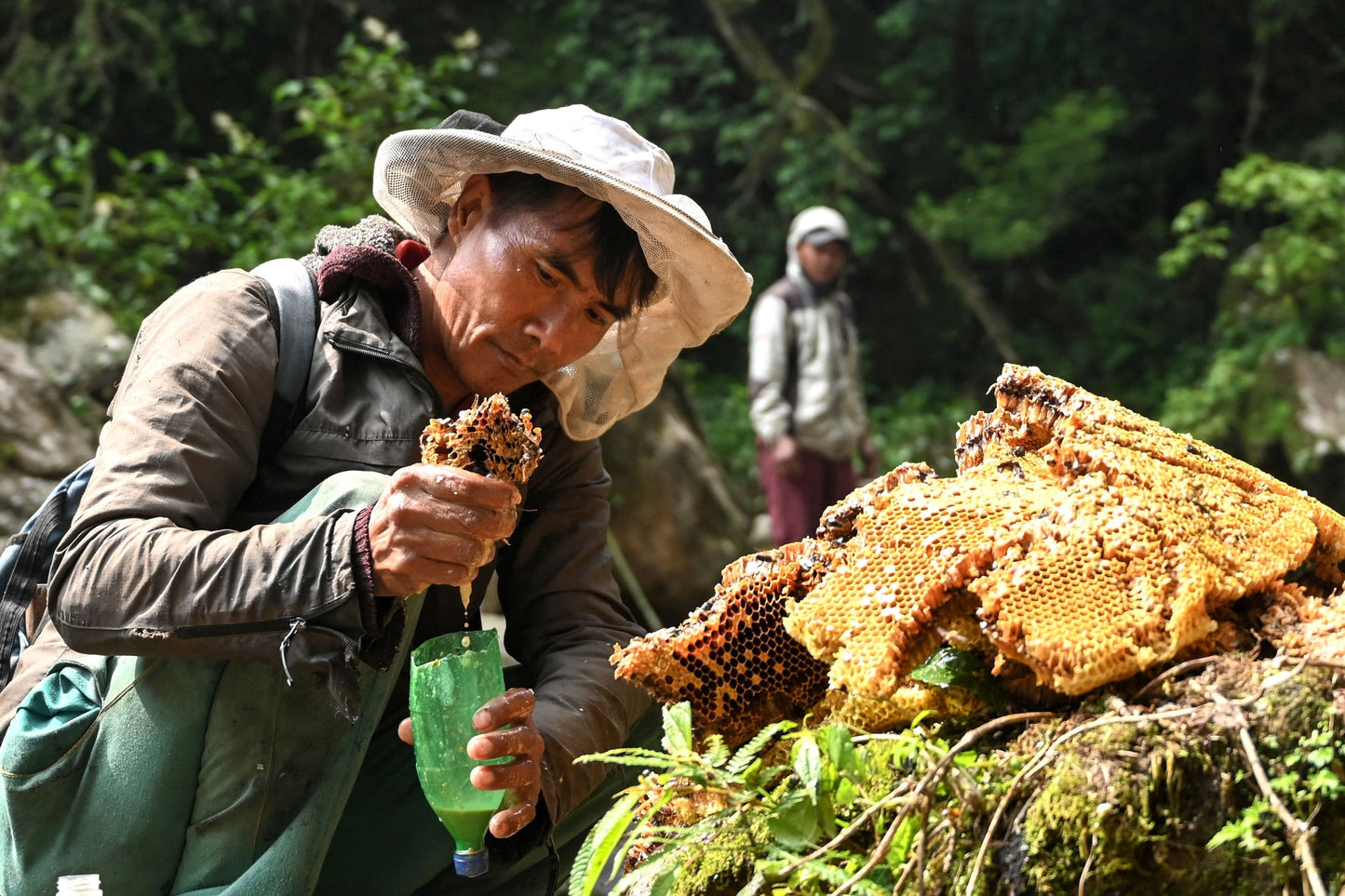 Mad Honey | Natural Mood Elevator from Nepal