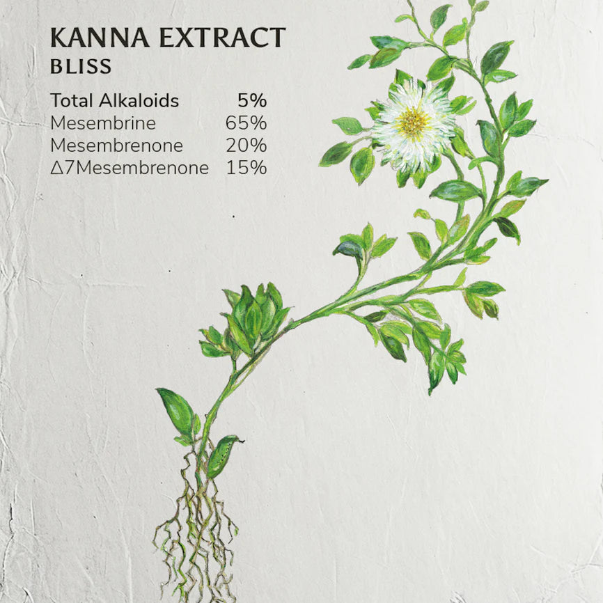 Kanna Bliss Extract Powder