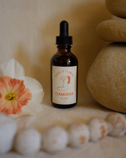 Damiana Sensual Tincture by La Abeja Herbs | The Alchemists Kitchen The Alchemist's Kitchen Damiana Sensual Tincture by La Abeja Herbs | The Alchemists Kitchen The Alchemist's Kitchen