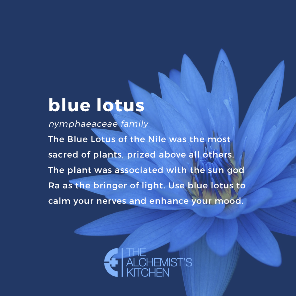 Organic Blue Lotus Tea - Relaxing Sleep & Lucid Dreams