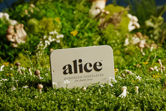 ALICE for Focus
