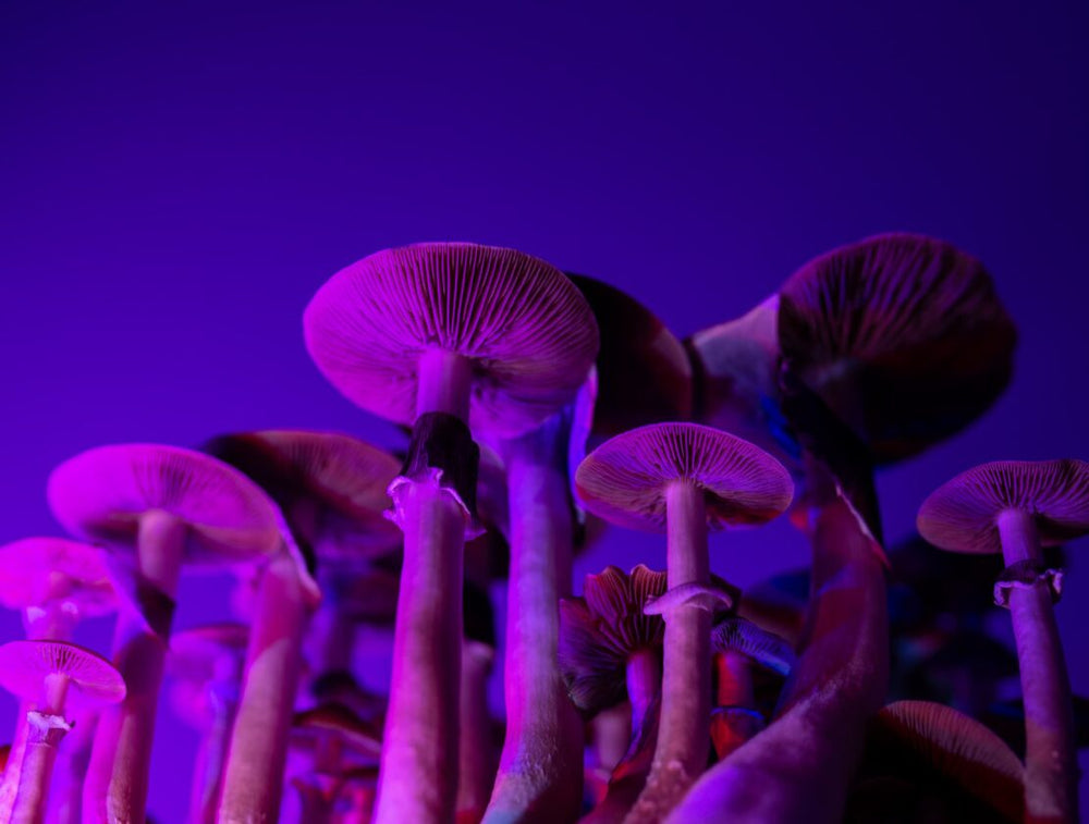 The Impressive Benefits of Microdosing