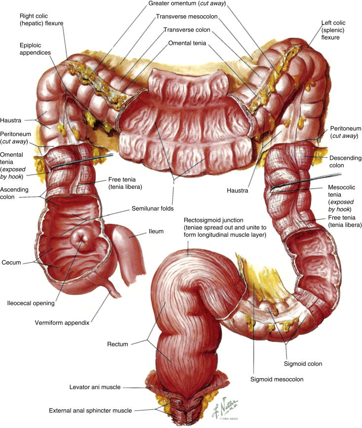 Colon Cleanse Super Flush