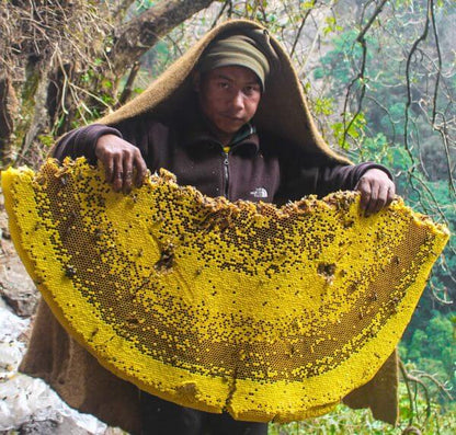 Mad Honey | Natural Mood Elevator from Nepal
