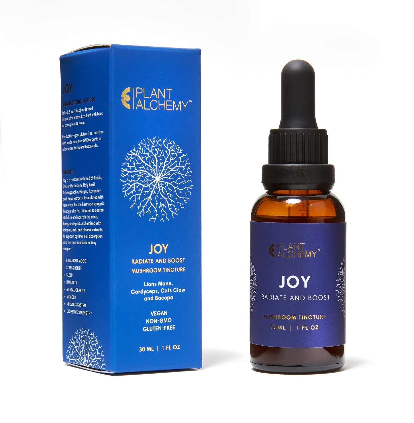 Joy Mushroom Tincture