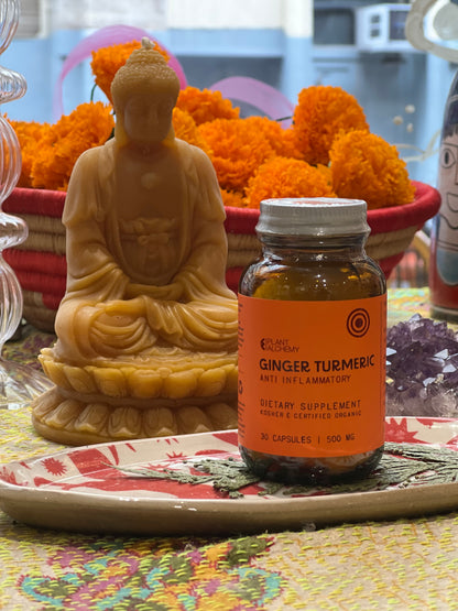 Turmeric Ginger Capsules