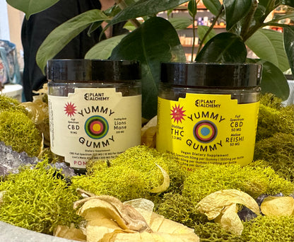 Yummy Gummy Plus — Chill Out CBD Gummies with Reishi