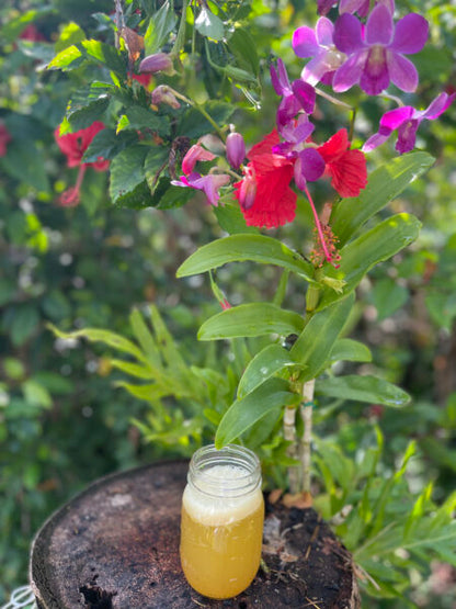 Embracing the Light: 7 Day Spring Detox with Abhaijot