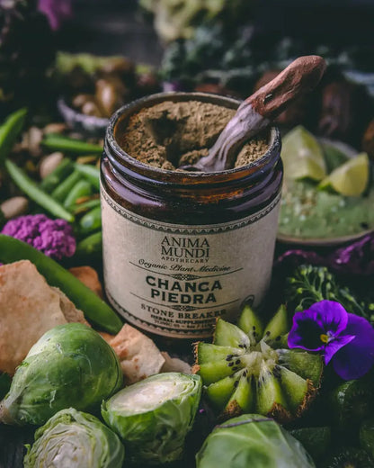 CHANCA PIEDRA Powder