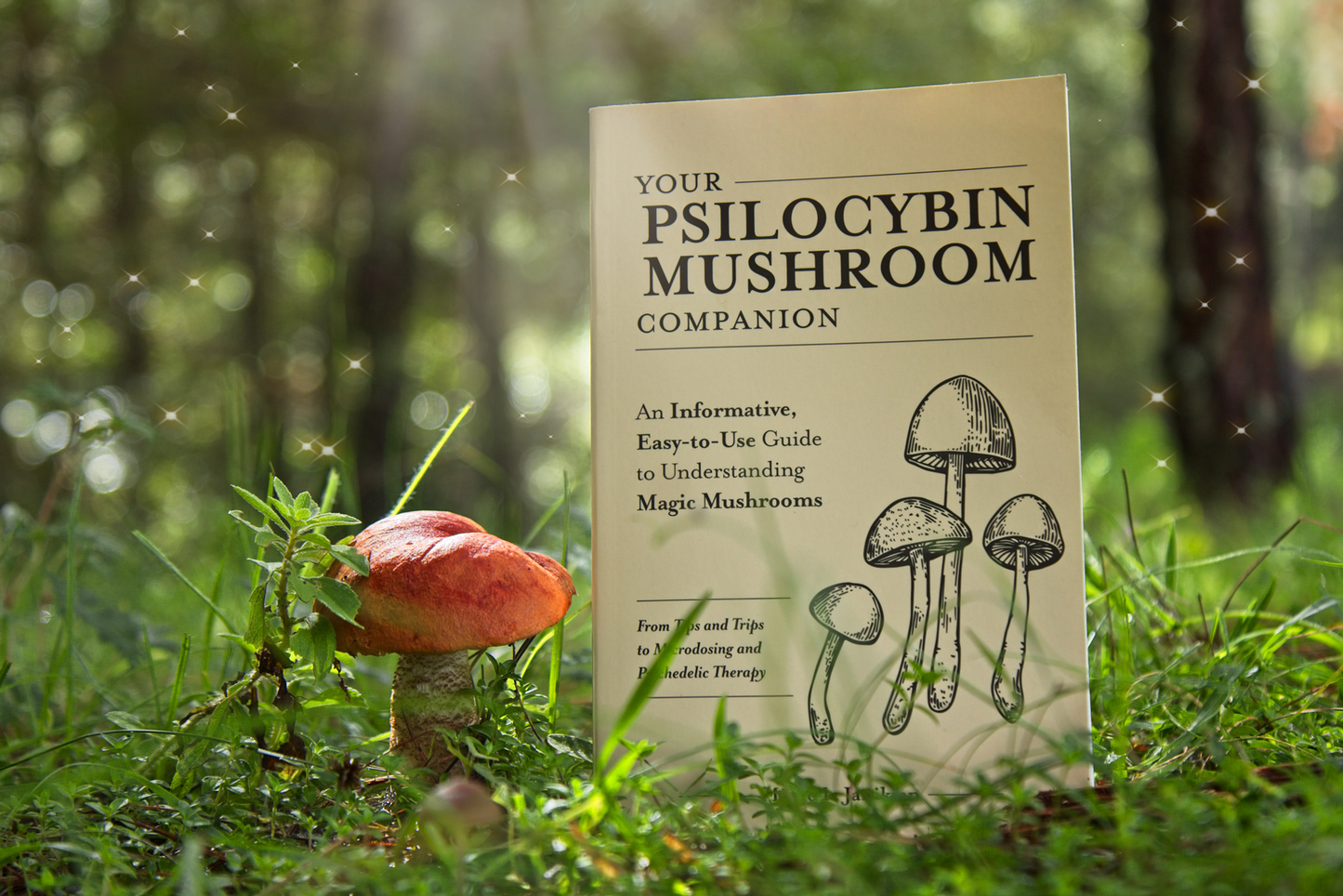 Psilocybin Mushroom Companion