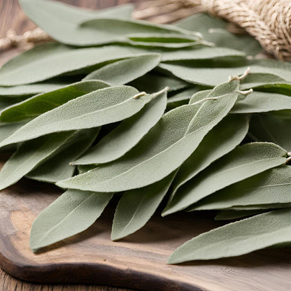 Sage Drawer Sachet
