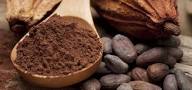 Ayurvedic Cacao Powder - mental clarity - digestive health