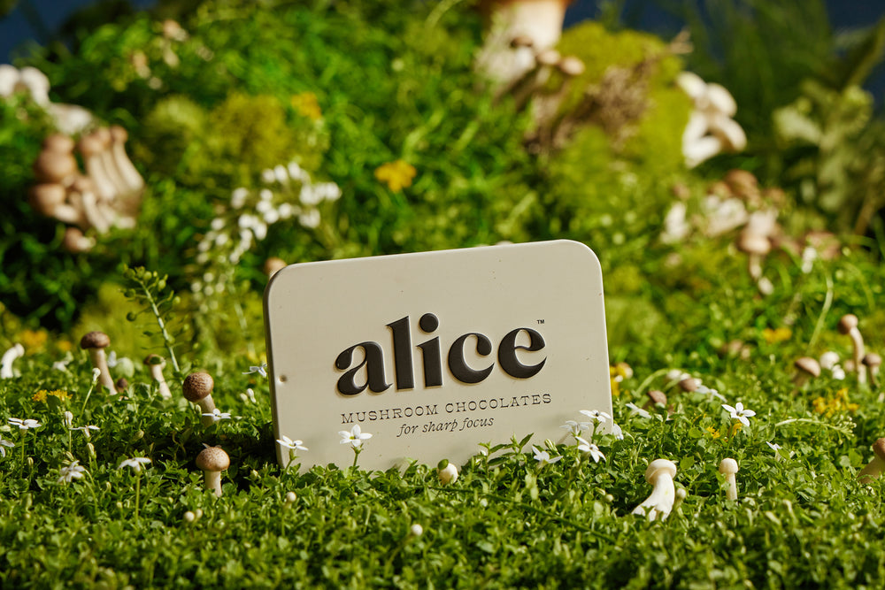 ALICE for Focus