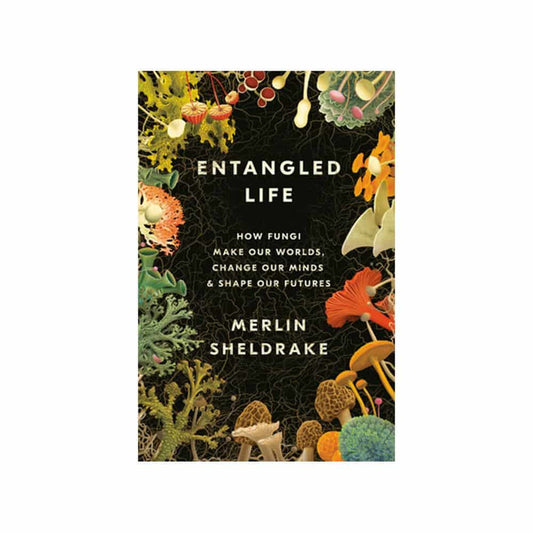 Entangled Life By Merlin Sheldrake | The Alchemists Kitchen