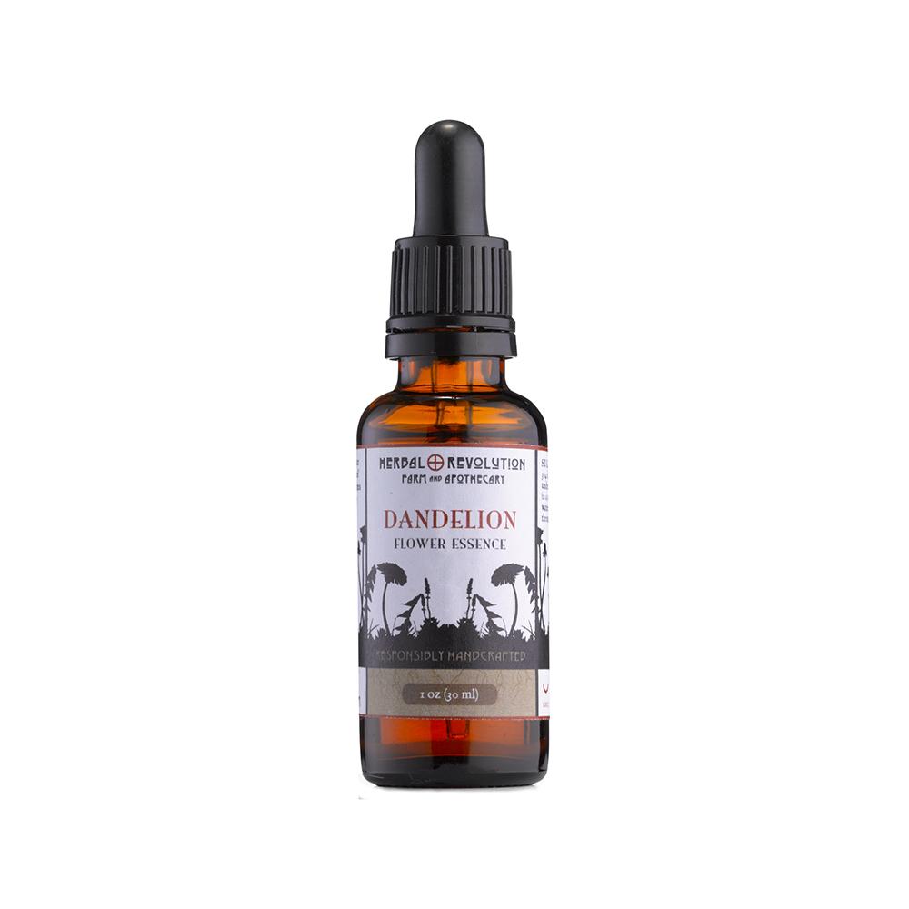 Organic Dandelion Flower Essence | The Alchemists Kitchen