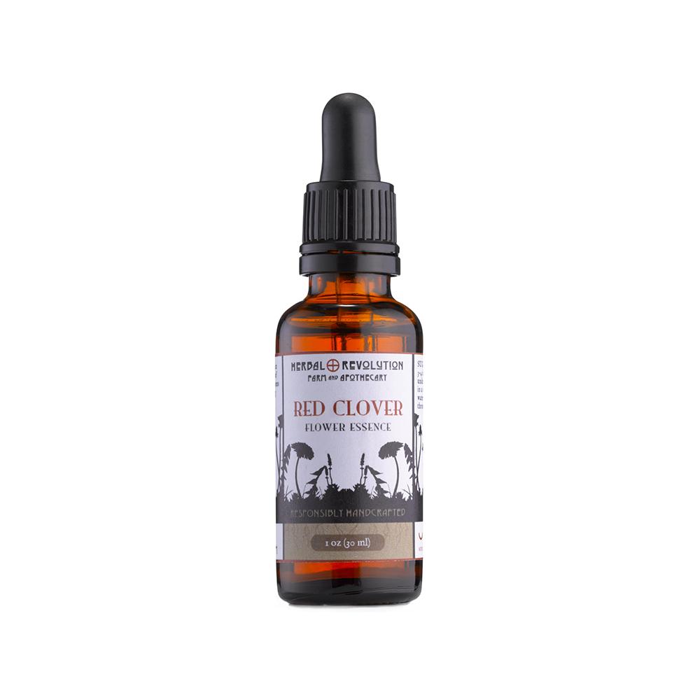 Organic Red Clover Flower Essence | The Alchemists Kitchen