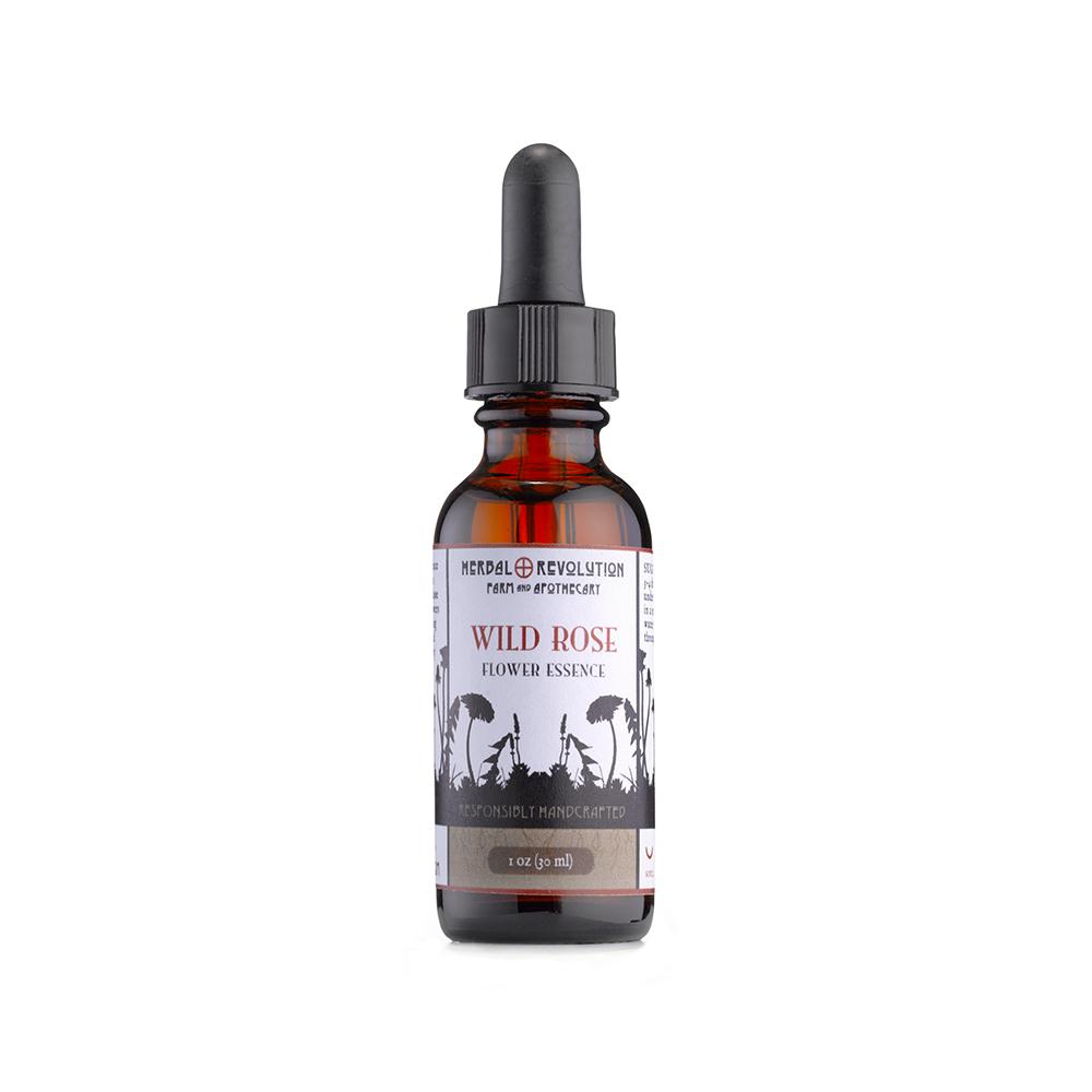 Organic Wild Rose Flower Essence | The Alchemists Kitchen